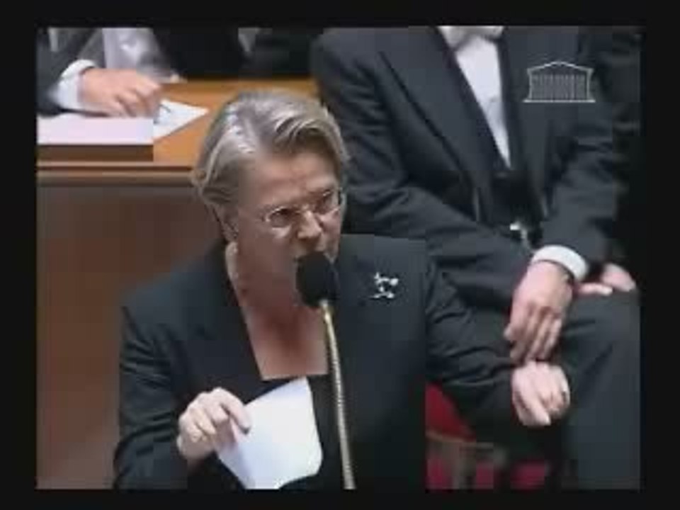 Réponse de Michèle Alliot-Marie à Daniel Goldberg