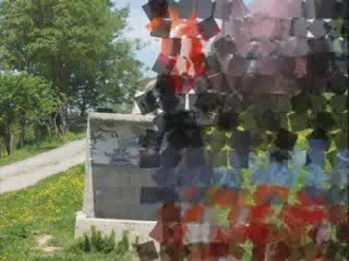 89/2 tertip hamit engin samsun çimenli köyü