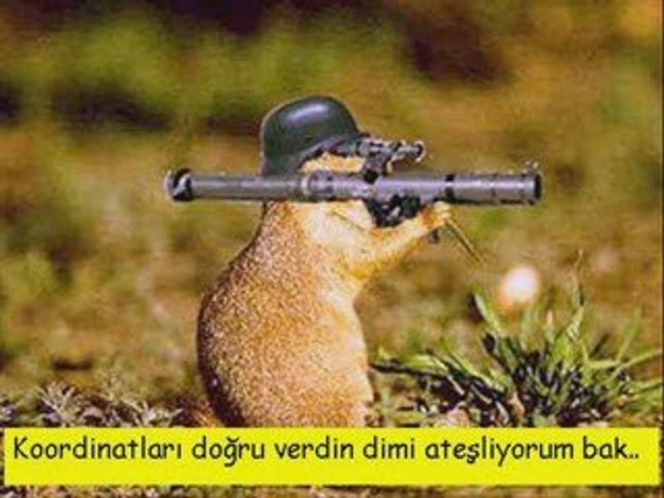 TİRİDİNE TİRİDİNE ŞİİRİNE BANDIM