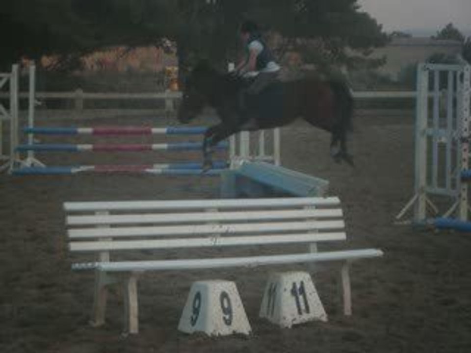 Cour du 18-03-09