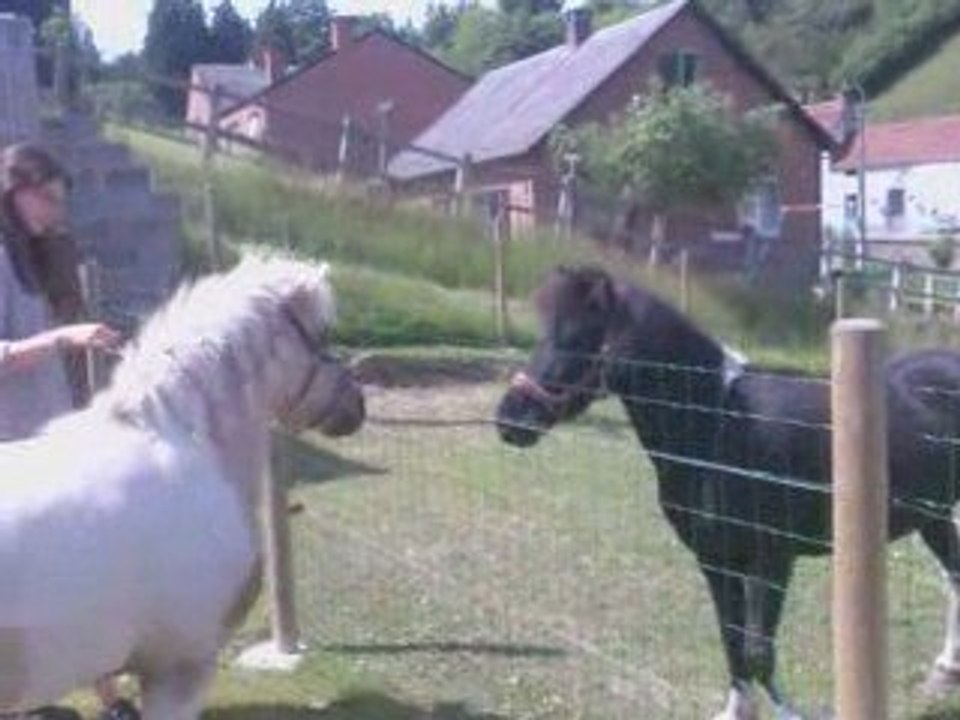 Bianca et Texane 2