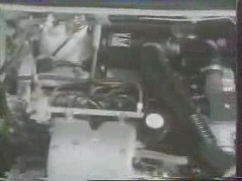 Peugeot 205 GTI - Toutes griffes dehors