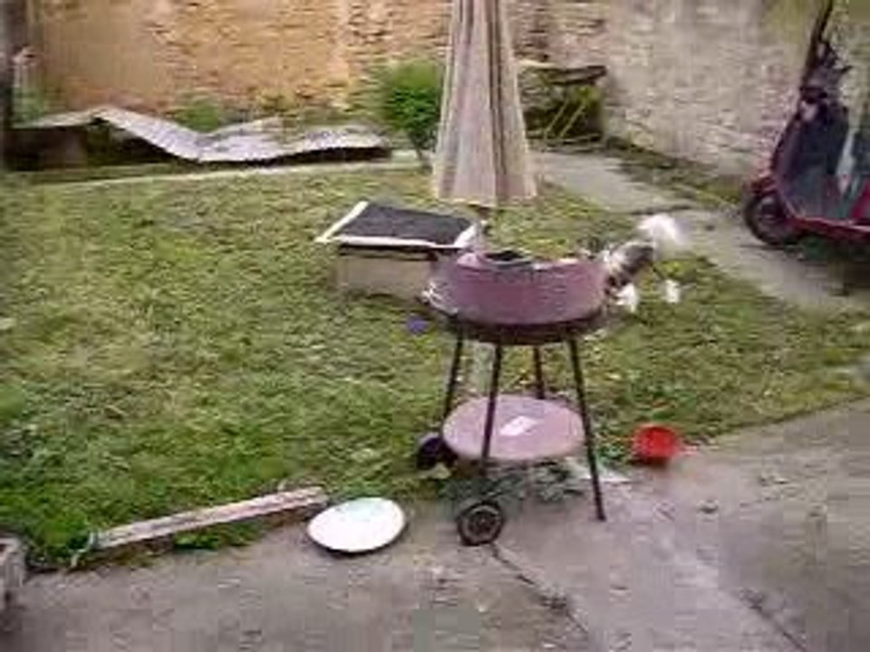 21 041