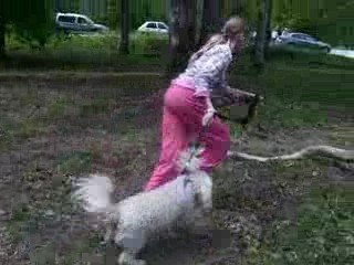 Anima amina famila 004