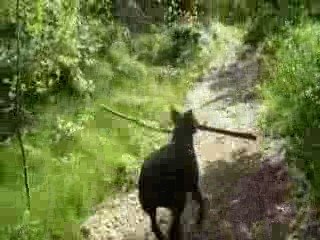 Sortie du 20 05 2009 no2 346