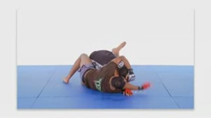 Antonio Rodrigo Nogueira  techniques  ArmTriangle