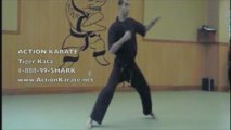 Action Karate Bensalem Tiger Kata