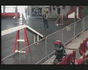 Foire comtoise 2009 baby love