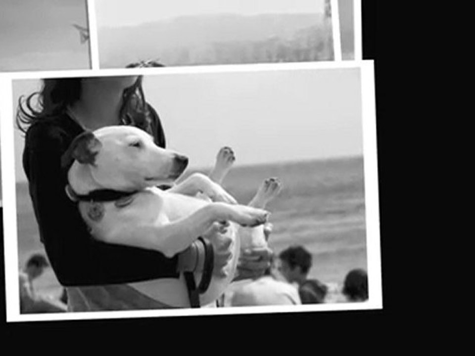 Photographer: Nito Alvarado "Nice A2" sound by Laurent Gros