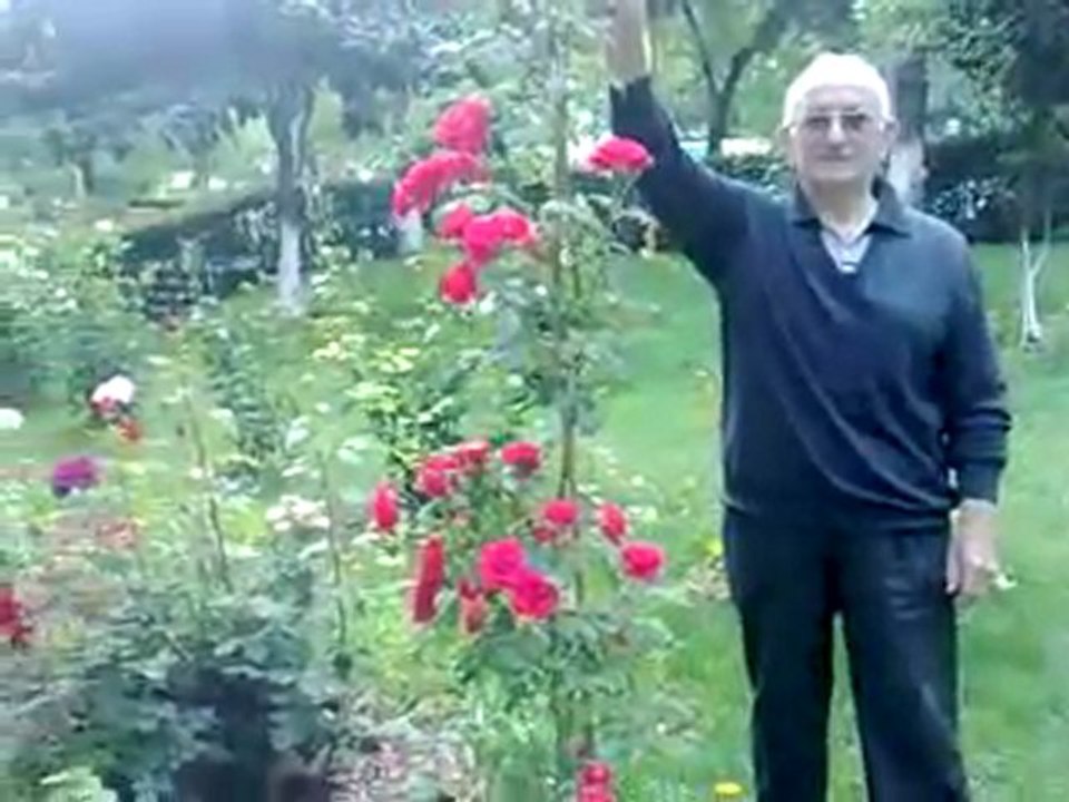 Atakoy,de bir Adakoy,lu
