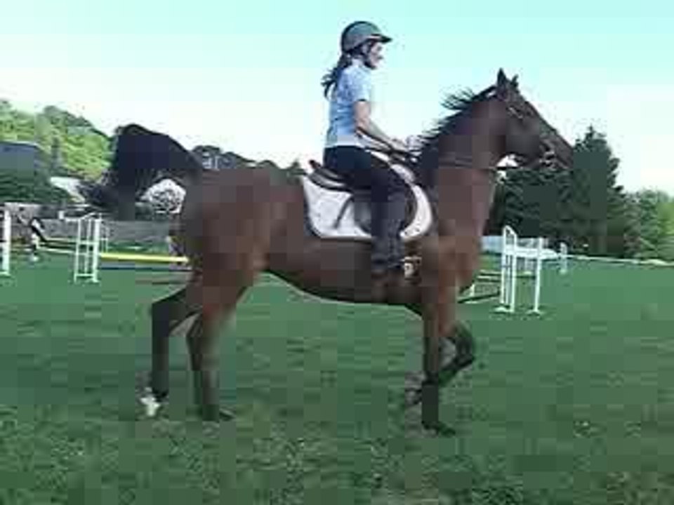 CIMG2539