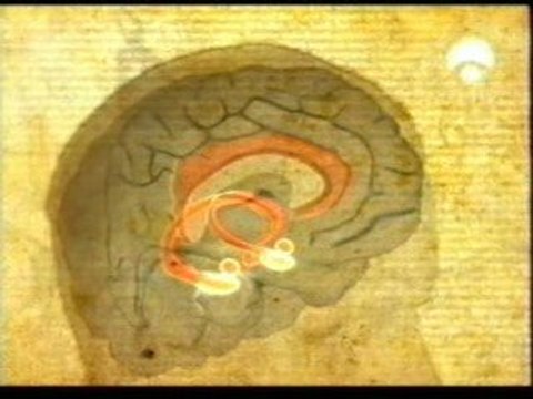 Propanolol: Borrando los recuerdos traumaticos (TEPT)