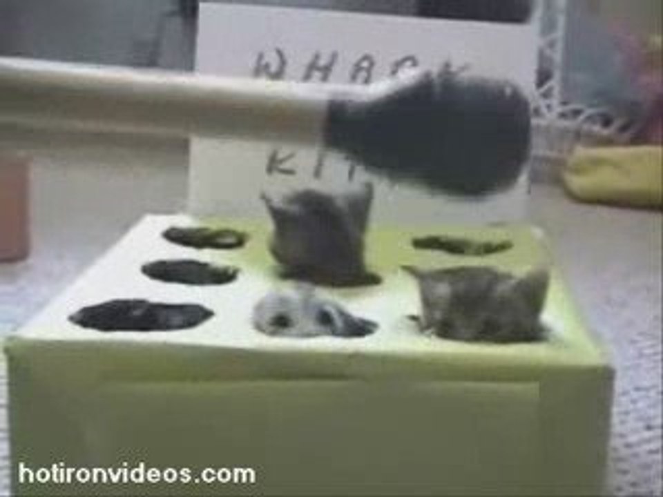 Whack a Kitten