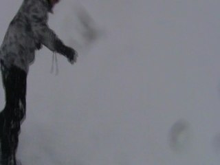 Ski - Serre Chevalier