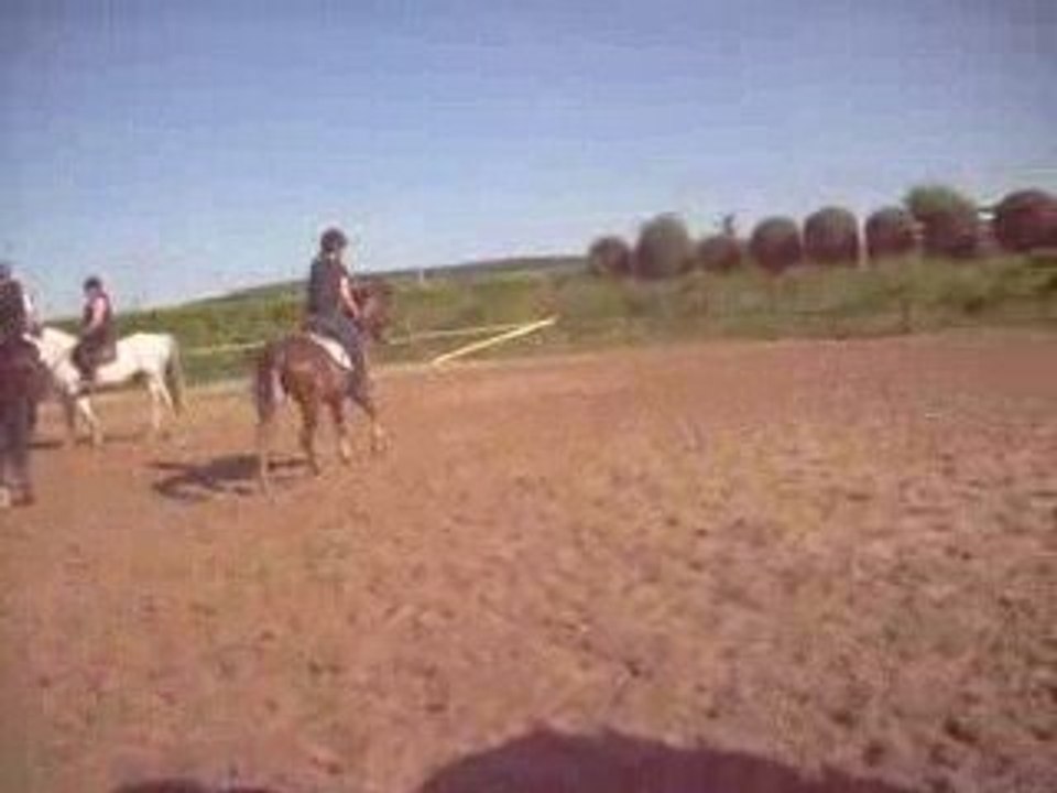 Lonie & Phantom