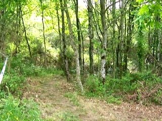 Masters XC Bretagne VTTRANDO 🏃‍♂️