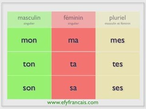 adjectifs possessifs