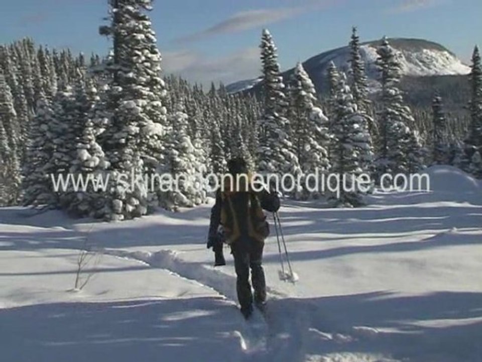 Ski Nordique de Randonnée