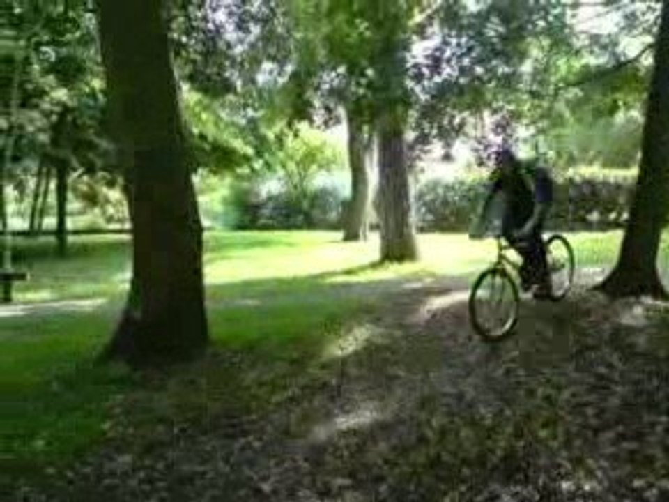 Freestyle