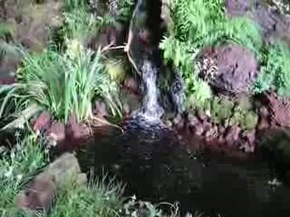 Nantes : Floralies 2009