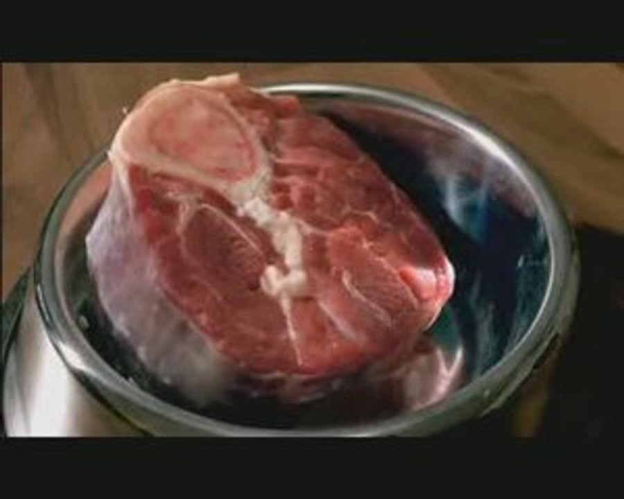 Pedigree_Russia_Final