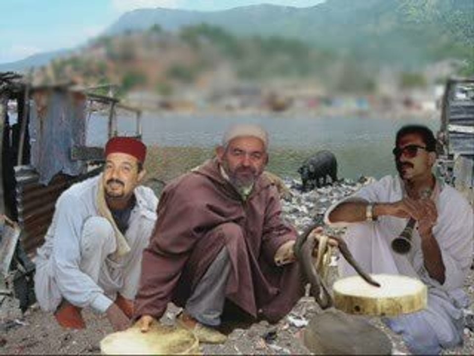 rached ghannouchi, amer alarifi, sahnoun al jawhari, tunisie