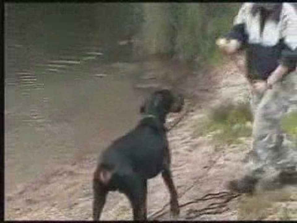 Daika daicko natation 21 05 09