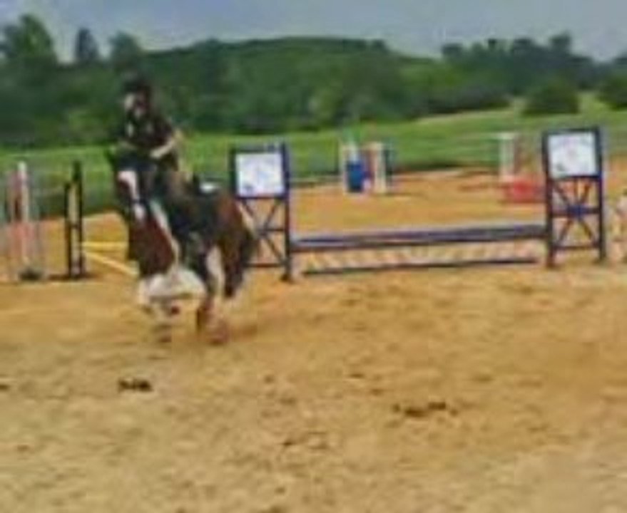 VID016