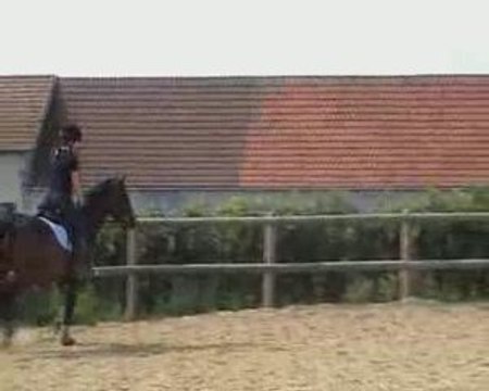 Transition trot pas 200509