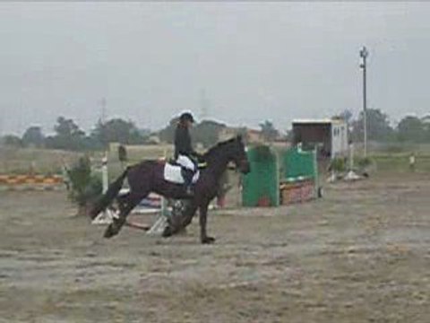 Anco Frison Saut d'Obstacle