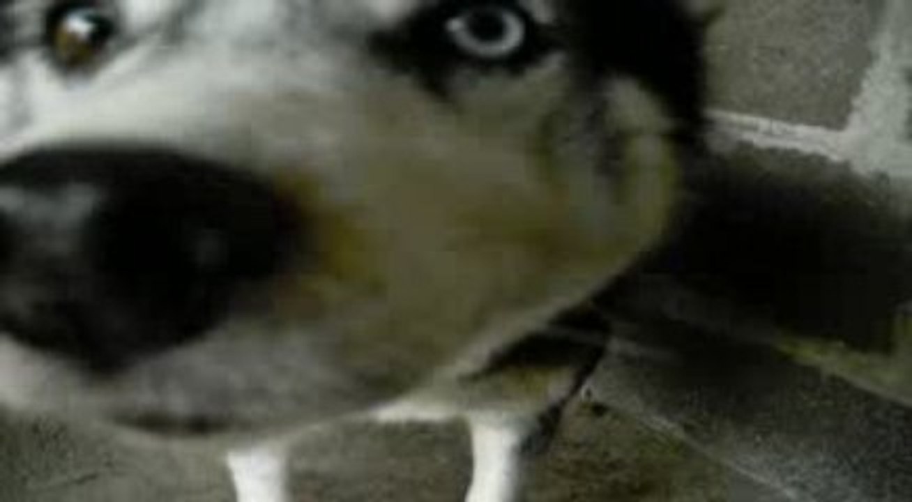 Winnie en progrès !