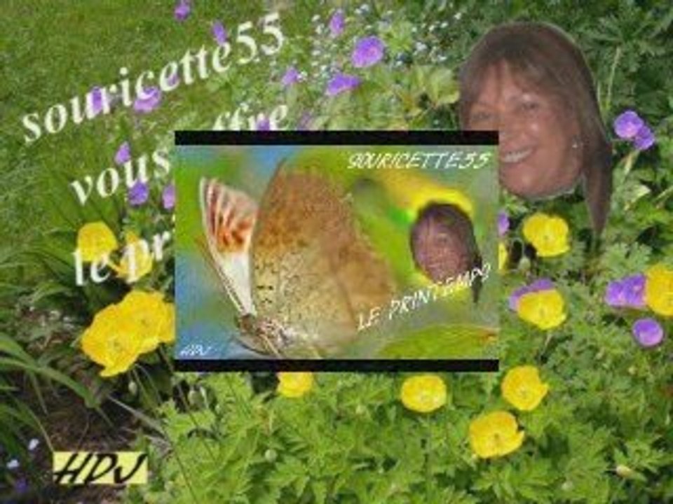 ATELIERDANAMOMO PUB MONTAGES