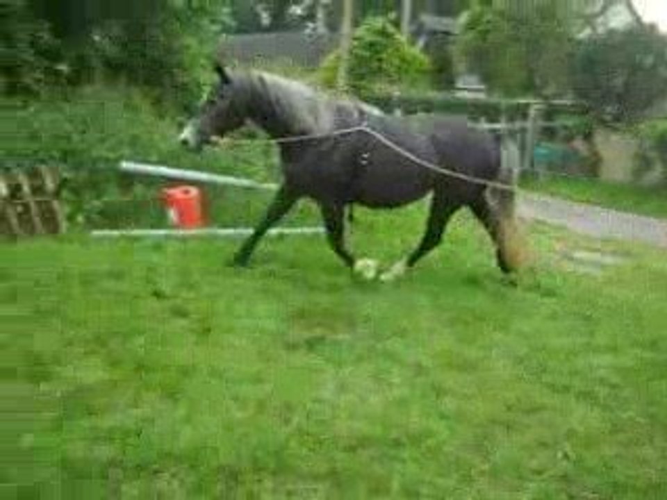 Sahara au Trot