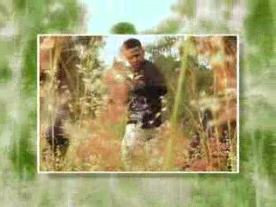 Mam'Be - le petit jaovaka
