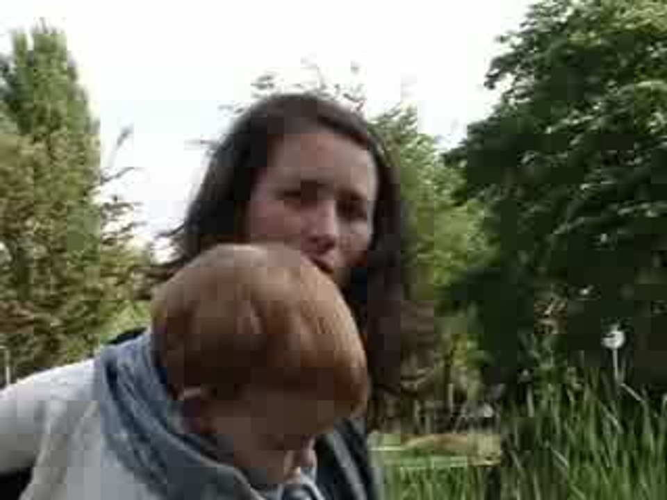 MOV06403