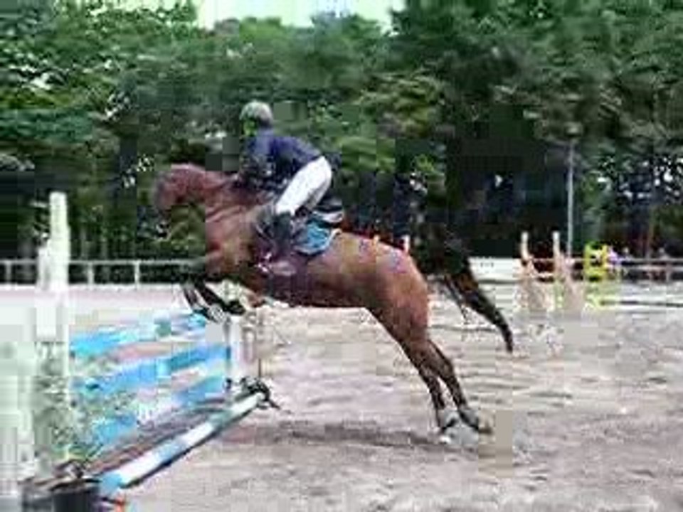 Braspart 21-05-09 nozgwenn 2