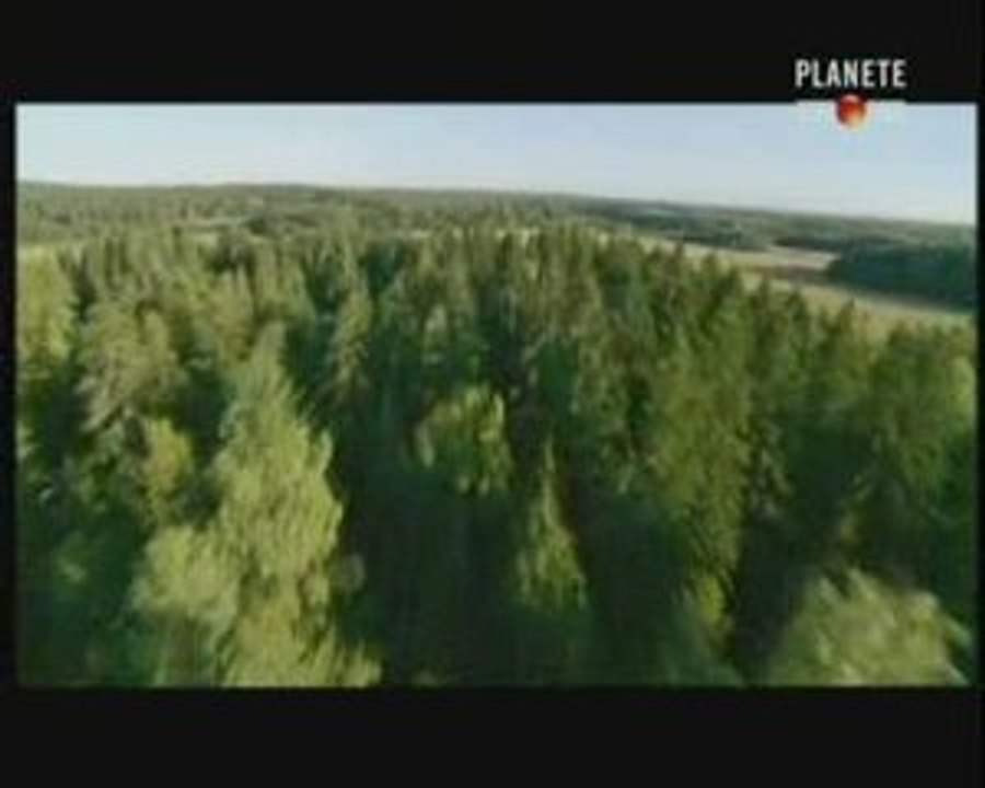La Guerre russo finlandaise (4 sur 4)