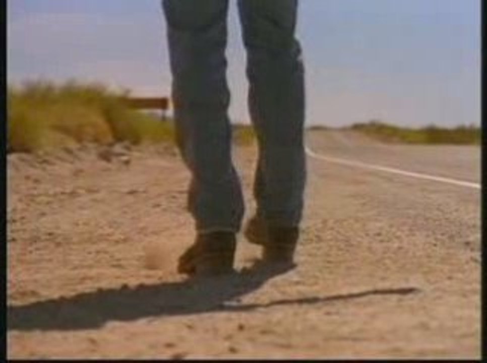 Survival, California State Auto Insurance (888) 521-4343