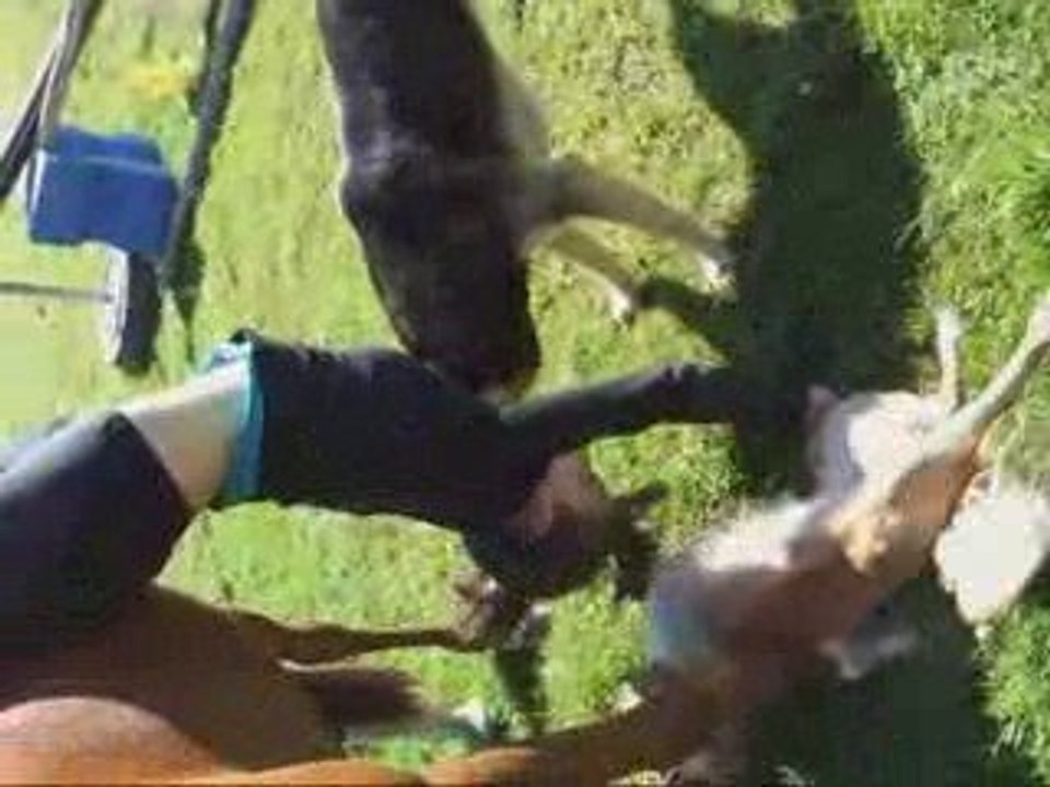 Délires Délires .. La honte xD