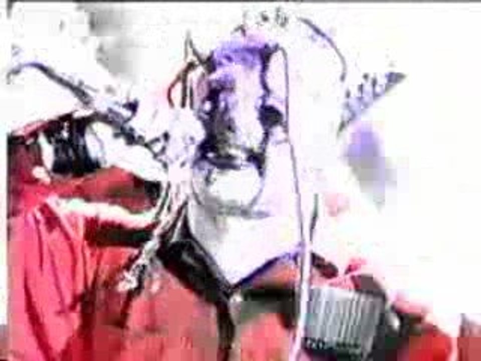 Slipknot - Wait and Bleed - Live Nul Part Ailleurs (Canal+)