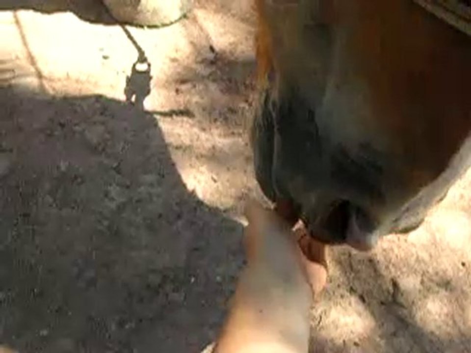 Une Autre Vidéo Qui Sert A Rien