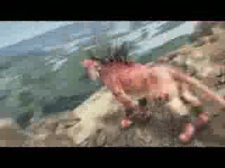 Amv - admirador - FFVII