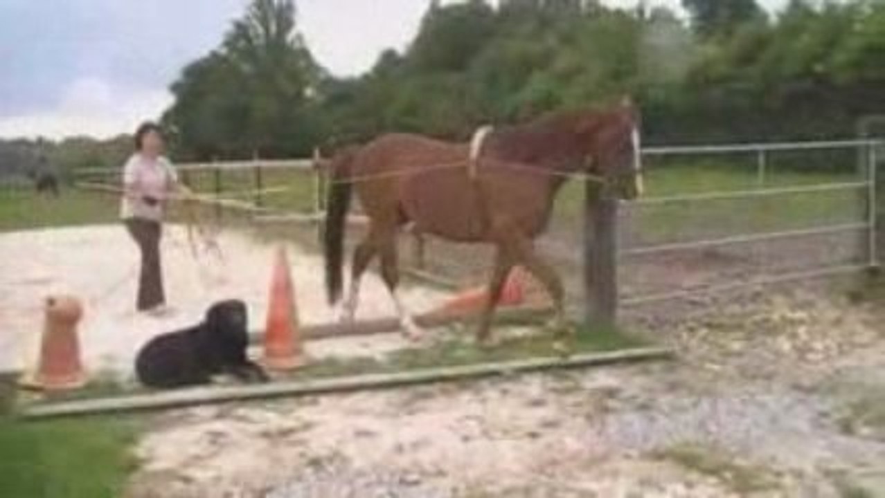 Ra statina de l'aurore