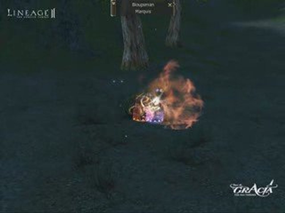 Fannie vs Bloups duel Lineage 2 Redemption serveur