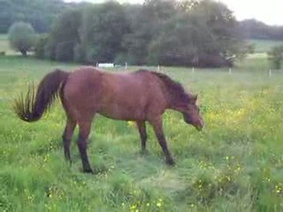 Etrepigny 05 09 bis 024