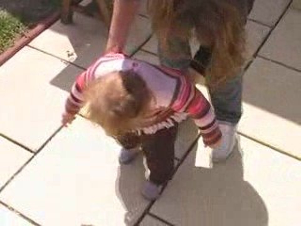 jai compris le système de la marche !