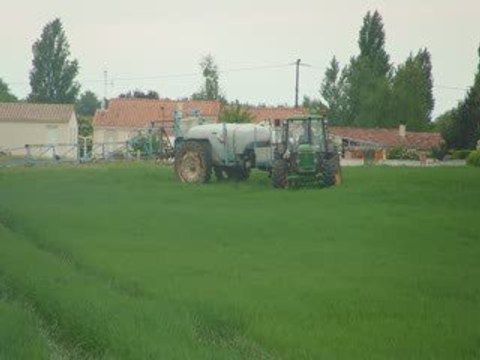Pulvérisation du seigle avec du vieux matériels