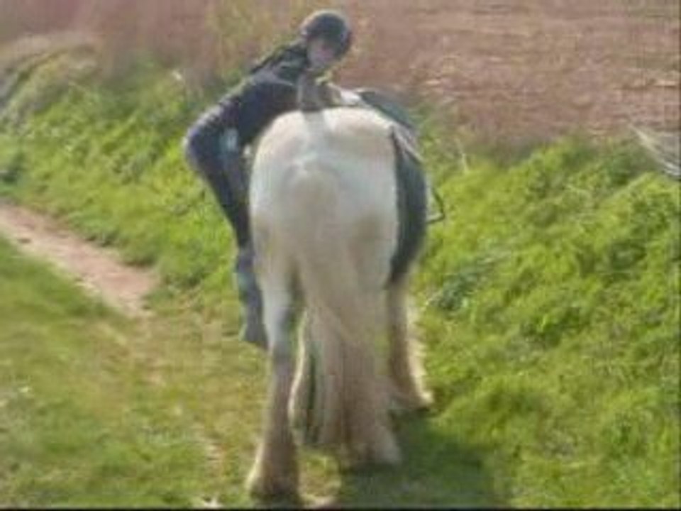 balade a cheval entre amie