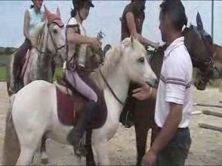 Remise dé pri+tour d'honneur