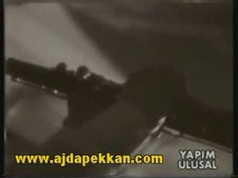 Ajda Pekkan - Palavra